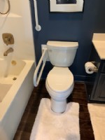 wall mounted toilet safety rail in Indianpolis bathroom